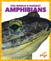 The_world_s_biggest_amphibians
